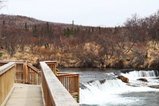brooksfalls-katmai4_gai
