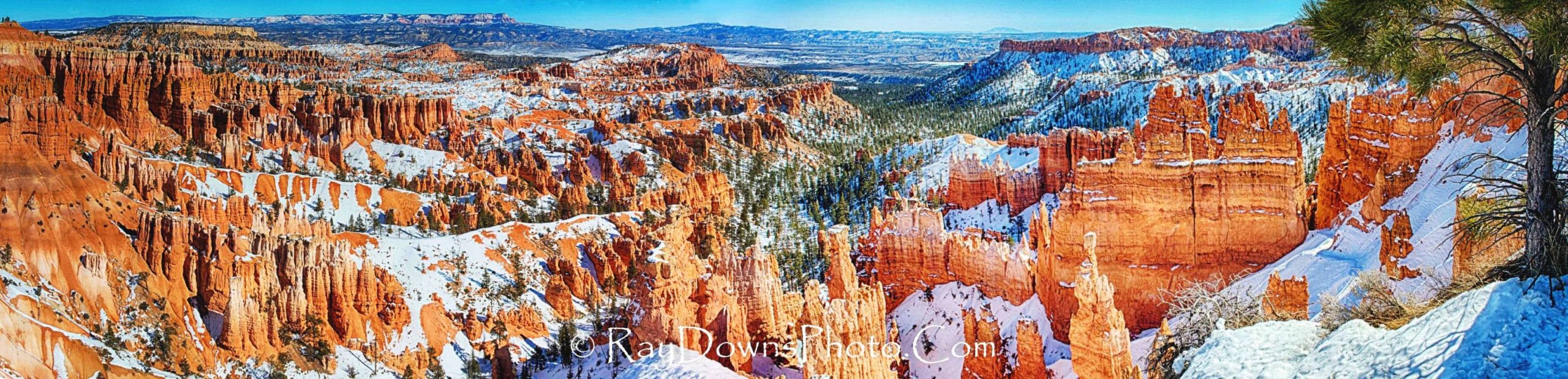 thumbnail image 2 of Vintage Bryce Canyon Travel Poster - 1950s Chicago & NorthWestern Line 16x24 Print 2 of 3