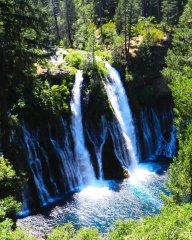 burney-falls1_by_Alex-Colvin