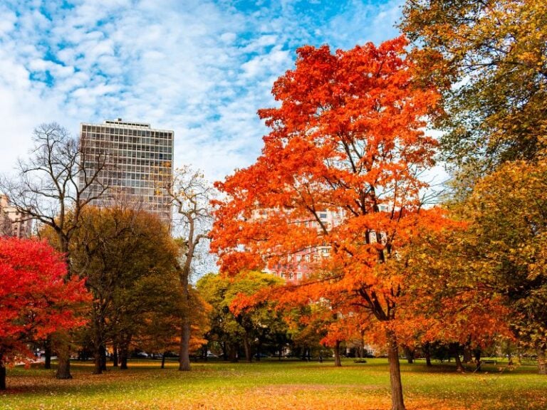 Chicago in October [Weather, What to Wear, Outfits, Things to Do]