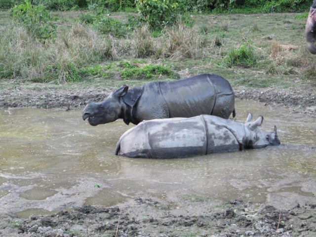 chitwan17_by_Stefan-Bonne