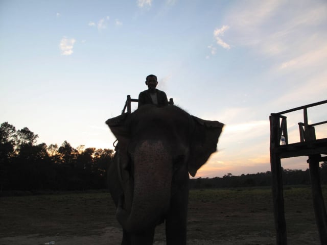 chitwan1_by_Stefan-Bonne