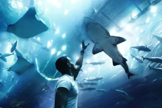 dubai-aquarium_15_x