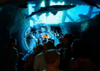 dubai-aquarium_9_x