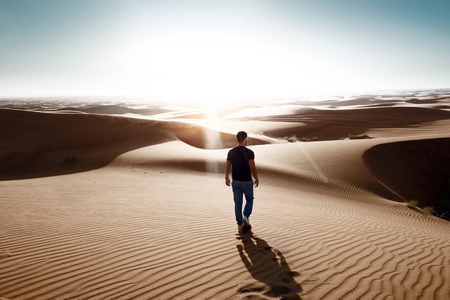 Dubai - Autumn Desert