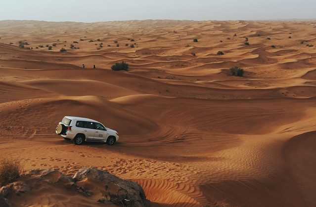 Dubai - Safari Desert Tour