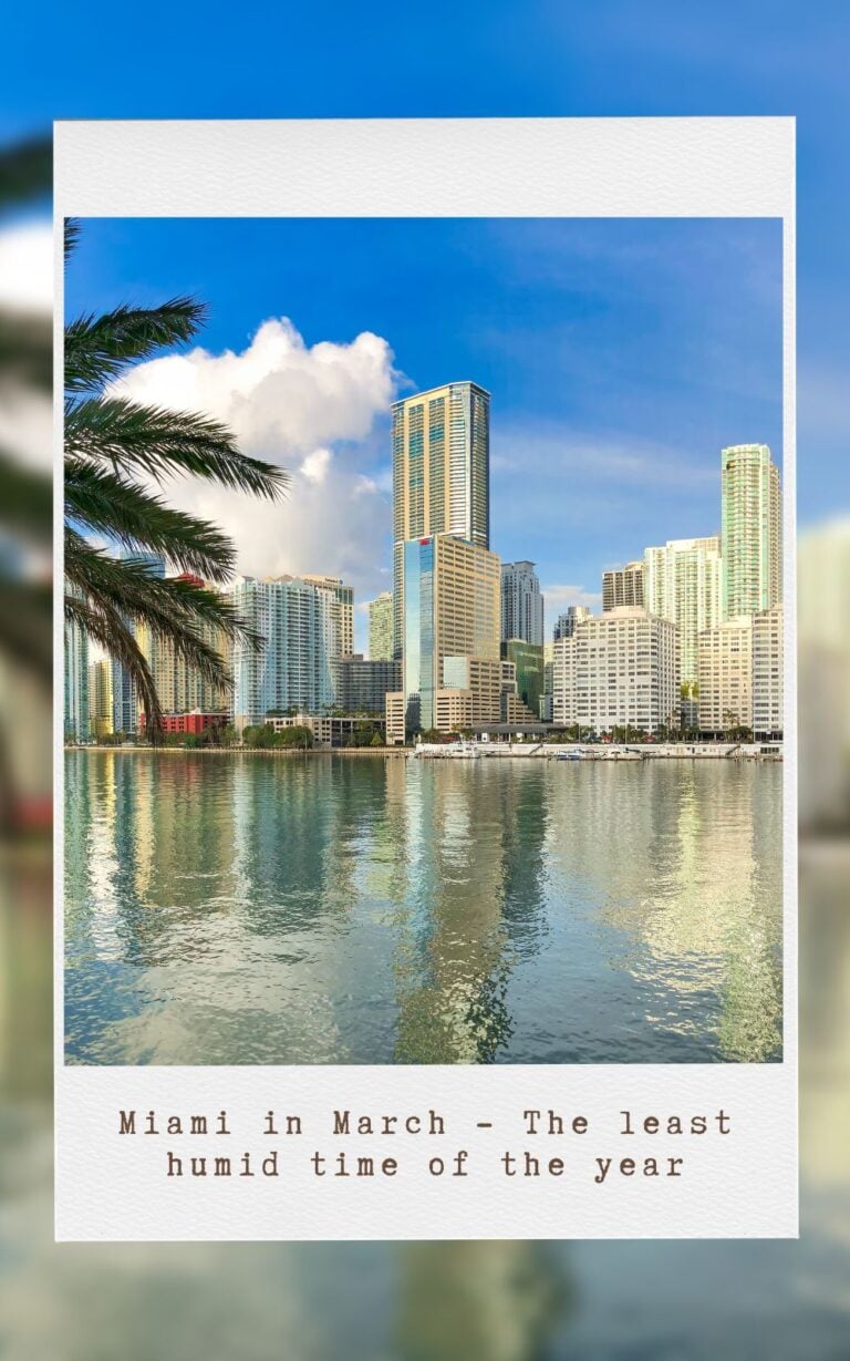 How to Beat the Florida Heat & Humidity [18 Tips From a Local]