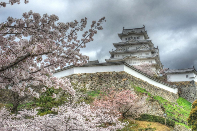 himeji-castle3_by_Akira-Nishiyama