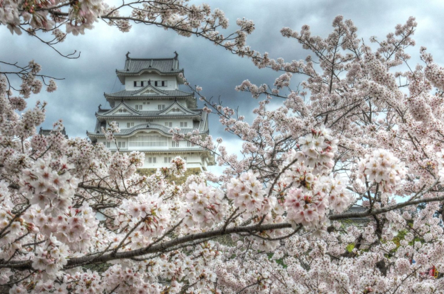 himeji-castle4_by_Charlie097