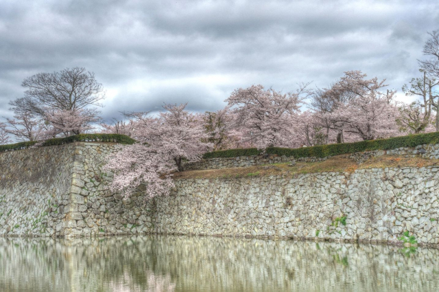 himeji-castle6_by_Charlie097
