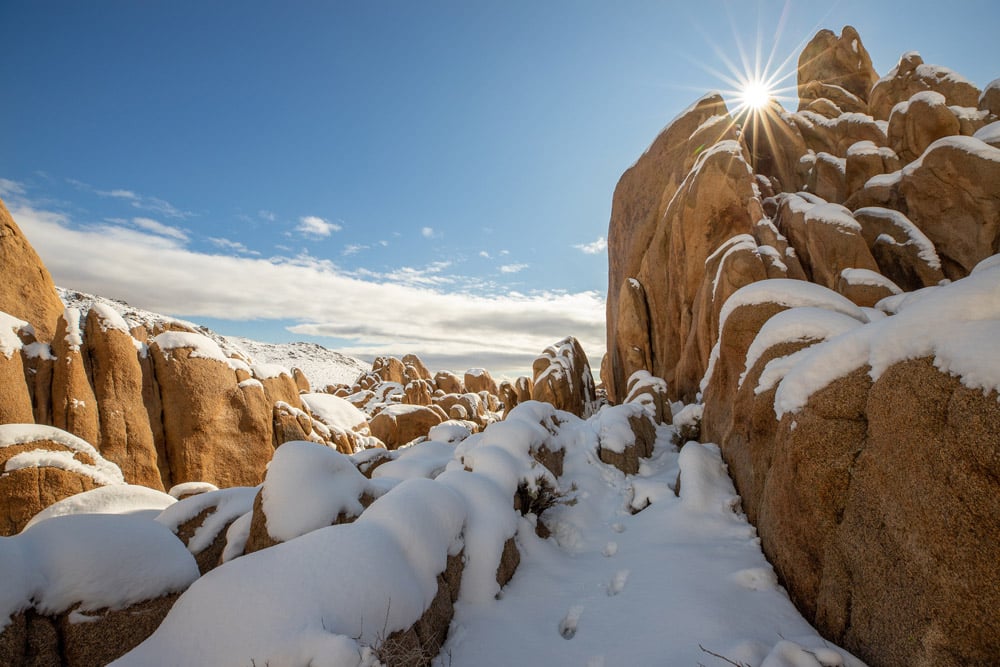 Joshua Tree National Park