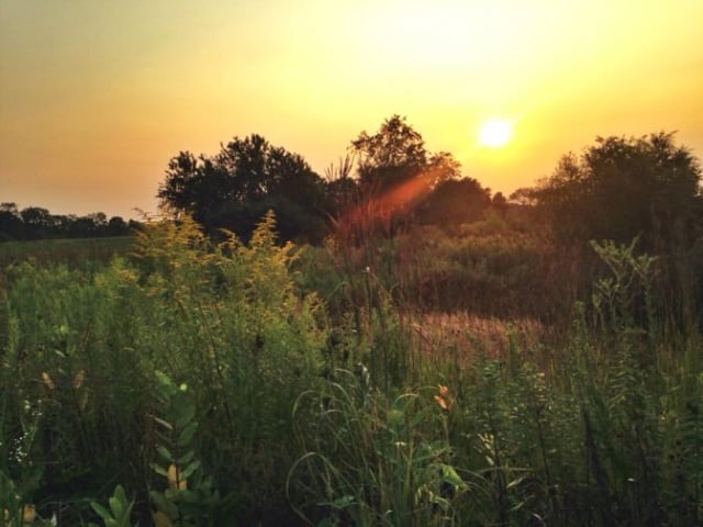 morton-arboretum12_by_Melissa-Sallee