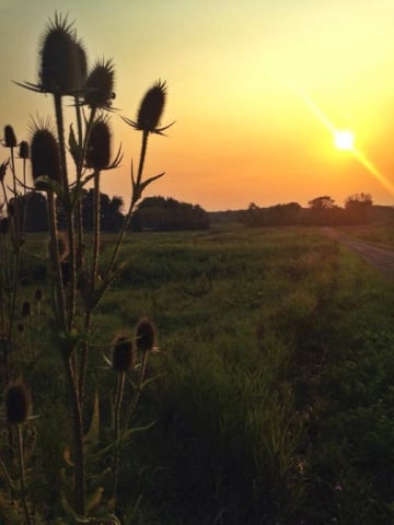morton-arboretum22_by_Melissa-Sallee