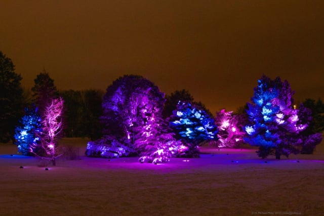 morton-arboretum29_by_Melissa-Sallee