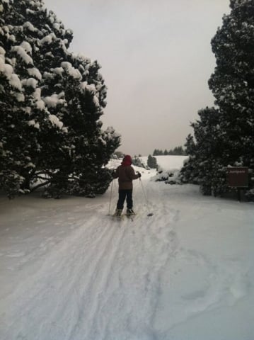 morton-arboretum6_by_Melissa-Sallee