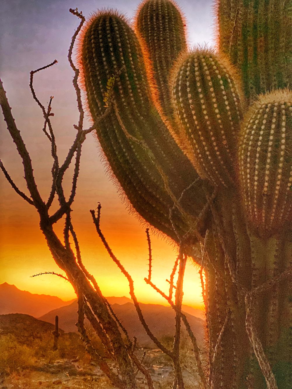 Top 10+ What Is The Weather In Phoenix Arizona