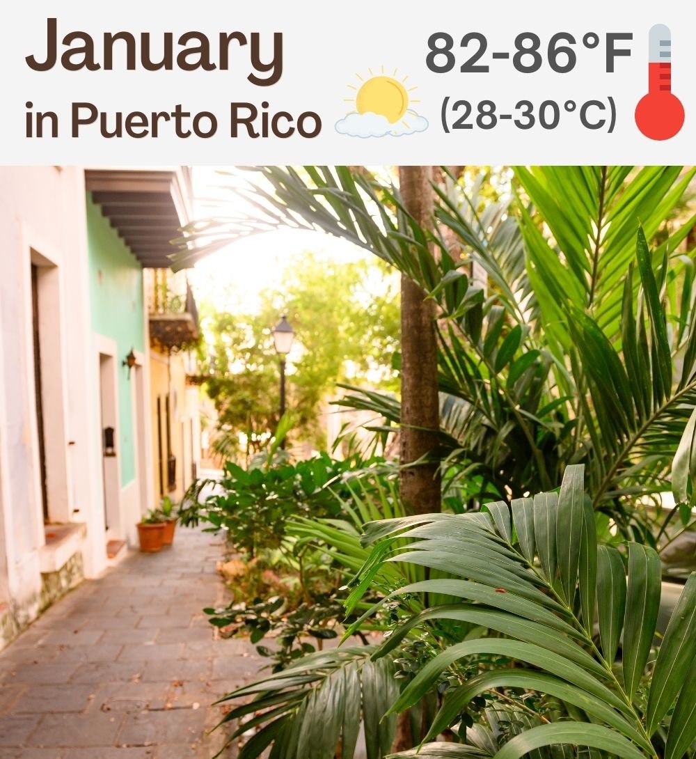 Puerto Rico in January [Weather, Outfits, Things to Do]