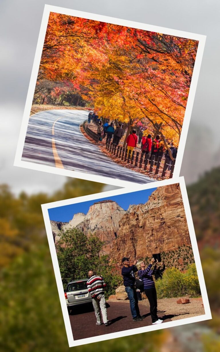 Zion National Park in November [Weather, What to Wear, Hiking]